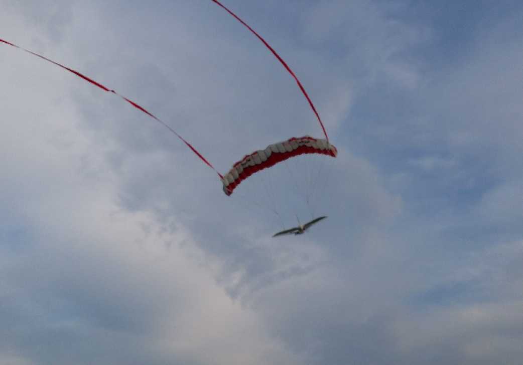AliX als Paraglider-Gondel