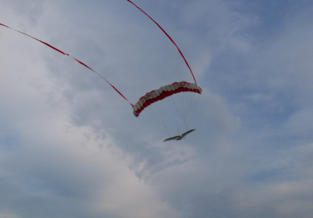 AliX als Paraglider-Gondel